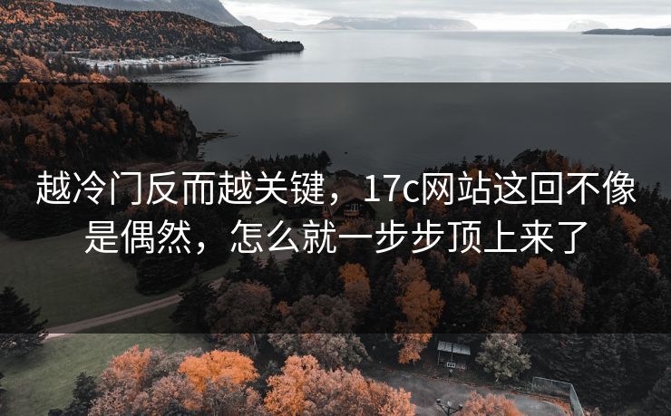 越冷门反而越关键，17c网站这回不像是偶然，怎么就一步步顶上来了