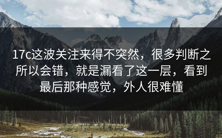 17c这波关注来得不突然，很多判断之所以会错，就是漏看了这一层，看到最后那种感觉，外人很难懂
