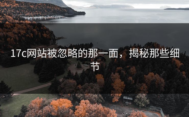 17c网站被忽略的那一面,揭秘那些细节 17c网站被忽略的那一面,揭秘那些细节