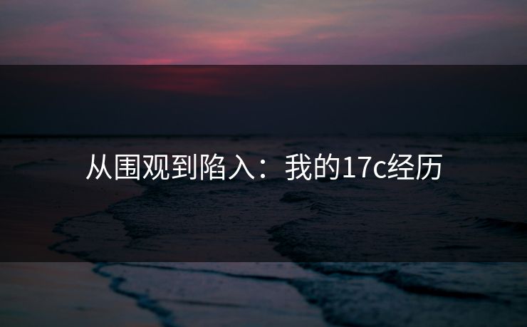 从围观到陷入：我的17c经历