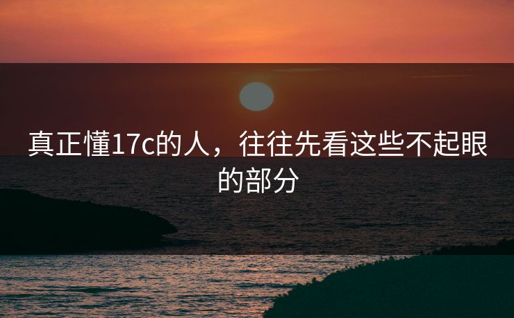 真正懂17c的人，往往先看这些不起眼的部分