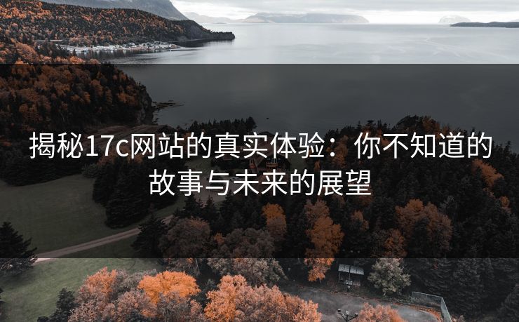 揭秘17c网站的真实体验:你不知道的故事与未来的展望 揭秘17c网站的真实体验:你不知道的故事与未来的展望