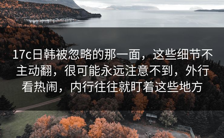 17c日韩被忽略的那一面，这些细节不主动翻，很可能永远注意不到，外行看热闹，内行往往就盯着这些地方